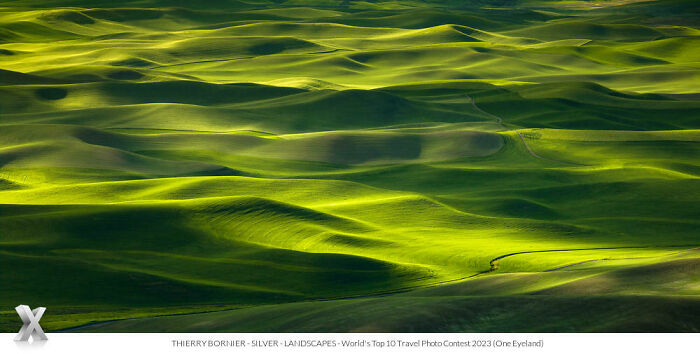 "Green Waves" By Thierry Bornier