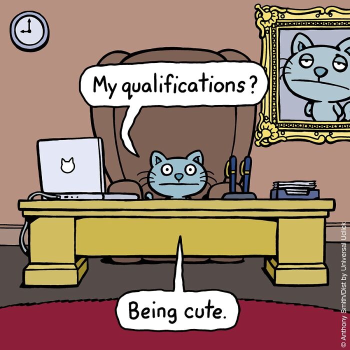 These One-Panel Cat Comics By Anthony Smith Purrfectly Capture What Having A Cat Is Like (New Pics)
