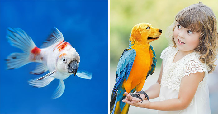 27 Funny Animal Mashups Created By This Artist With Photoshop (New Pics)