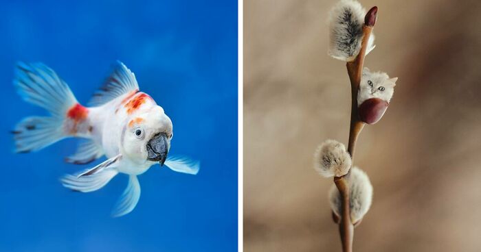 27 Funny Animal Mashups Created By This Artist With Photoshop (New Pics)