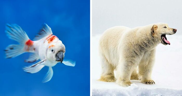 27 Imaginary Creatures Photoshopped By This Artist by Fusing Two Existing Ones (New Pics)