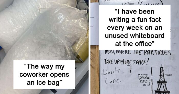 85 Super Annoying Employees Testing The Limits Of Their Coworkers' Patience (New Pics)