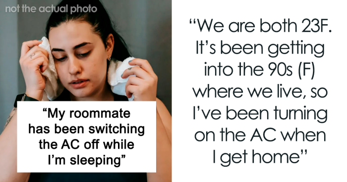 Woman Is Called “Ableist And Insensitive” Because She Won’t Let Her Roommate Turn The AC Off