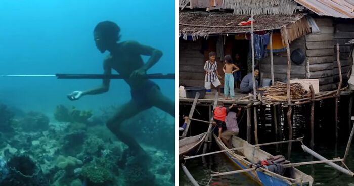 Bajau People Can Hold Their Breath For Up To 13 Minutes Underwater, May Be Due To Spleen Size