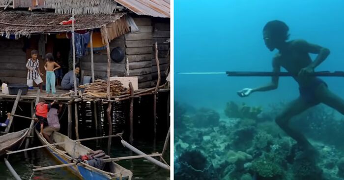 Southeast Asian “Sea Nomads” Renowned For Diving Abilities Likely Have Genetic Basis, Professor Says