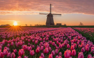 30 Pics That Prove The Netherlands Is One Of The Most Beautiful Countries