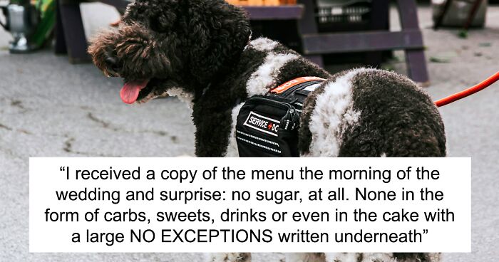 Cousin Brings Service Dog After Bride Ignored Her Sugar Requests, Gets Blamed For Ruining Wedding