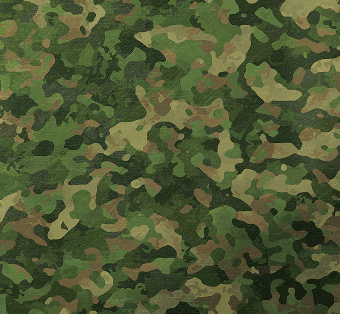 “My Brain Refuses To Believe That There Are 4 People In This Photo”: Camo Illusion Goes Viral