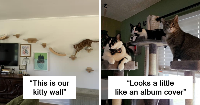 66 Times Cat Owners Outdid Themselves With Cozy Spaces For Their Pets