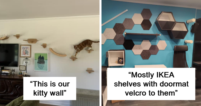 ‘Catification’: 66 Interesting And Unique DIY Environments That Your Cat Might Love