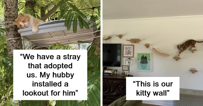 66 Cat Owners That Made Sure Their Pets Have The Coziest Space