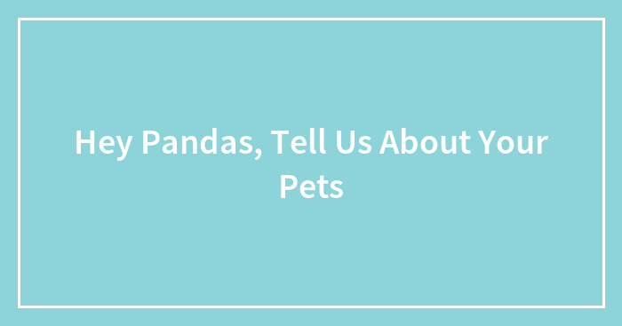 Hey Pandas, Tell Us About Your Pets (Closed)