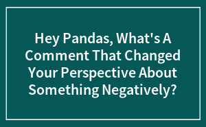 Hey Pandas, What's A Comment That Changed Your Perspective About Something Negatively?