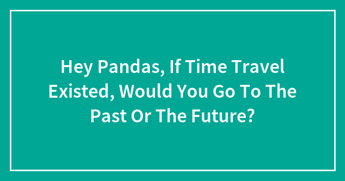 Hey Pandas, If Time Travel Existed, Would You Go To The Past Or The Future? (Closed)