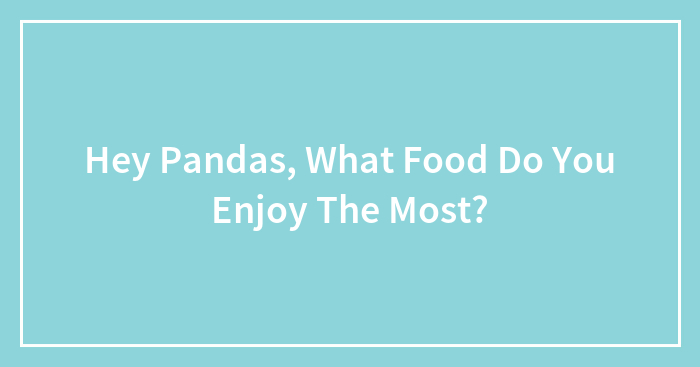 Hey Pandas, What Food Do You Enjoy The Most? (Closed)