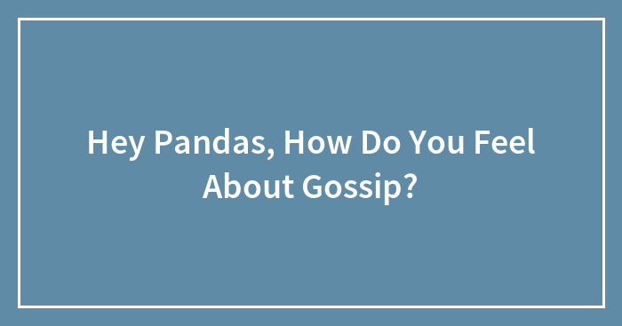 Hey Pandas, How Do You Feel About Gossip? (Closed)
