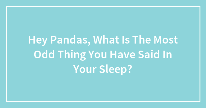 Hey Pandas, What Is The Most Odd Thing You Have Said In Your Sleep? (Closed)