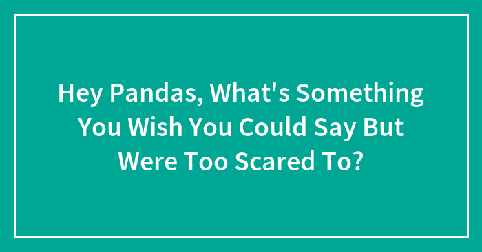 Hey Pandas, What’s Something You Wish You Could Say But Were Too Scared To? (Closed)