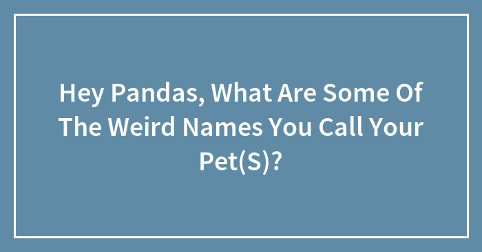 Hey Pandas, What Are Some Of The Weird Names You Call Your Pet(S)?