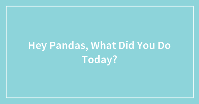 Hey Pandas, What Did You Do Today? (Closed)