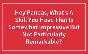 Hey Pandas, What's A Skill You Have That Is Somewhat Impressive But Not Particularly Remarkable?