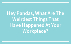 Hey Pandas, What Are The Weirdest Things That Have Happened At Your Workplace?