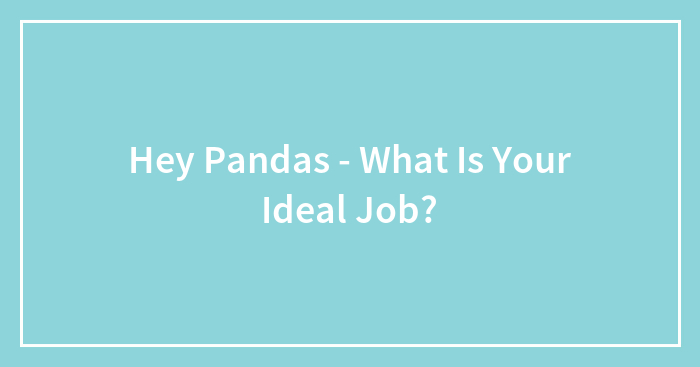 Hey Pandas, What Is Your Ideal Job? (Closed)