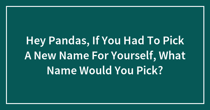 Hey Pandas, If You Had To Pick A New Name For Yourself, What Name Would You Pick?