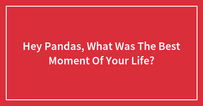 Hey Pandas, What Was The Best Moment Of Your Life? (Closed)