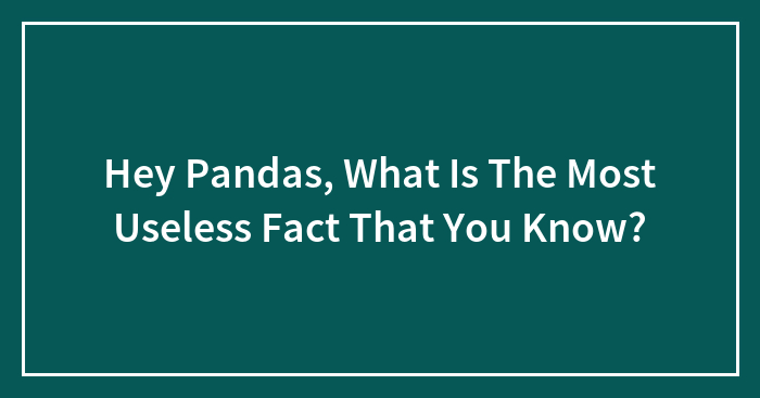 Hey Pandas, What Is The Most Useless Fact That You Know? (Closed)