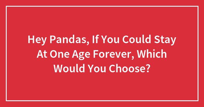 Hey Pandas, If You Could Stay At One Age Forever, Which Would You Choose? (Closed)