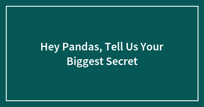 Hey Pandas, Tell Us Your Biggest Secret (Closed)