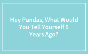 Hey Pandas, What Would You Tell Yourself 5 Years Ago? (Closed)