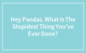 Hey Pandas, What Is The Stupidest Thing You’ve Ever Done?