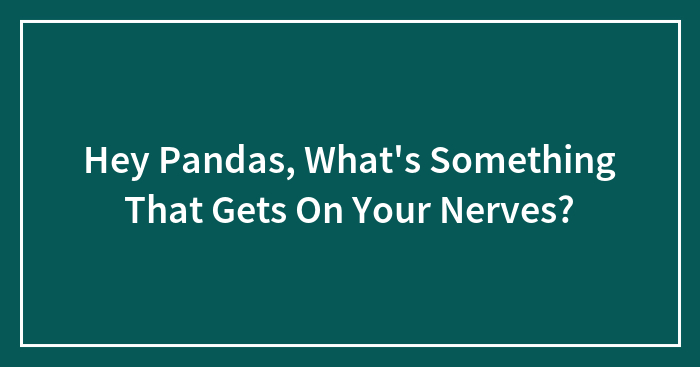 Hey Pandas, What’s Something That Gets On Your Nerves?