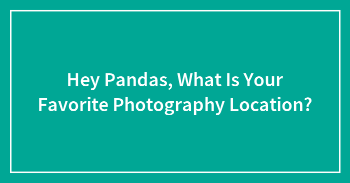 Hey Pandas, What Is Your Favorite Photography Location?