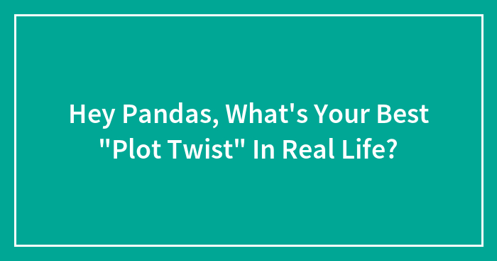 Hey Pandas, What’s Your Best “Plot Twist” In Real Life? (Closed)