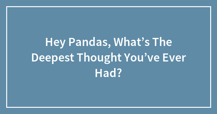 Hey Pandas, What’s The Deepest Thought You’ve Ever Had? (Closed)