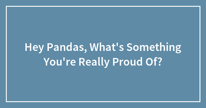 Hey Pandas, What’s Something You’re Really Proud Of?