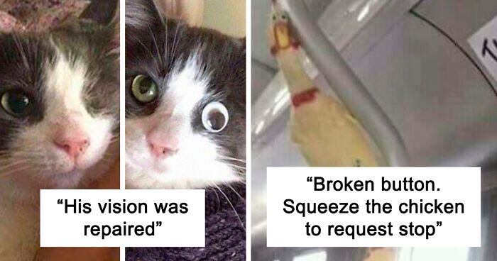 “There, I Fixed It”: 116 Pics Of People Trying Their Best To Be Crafty, But Failing