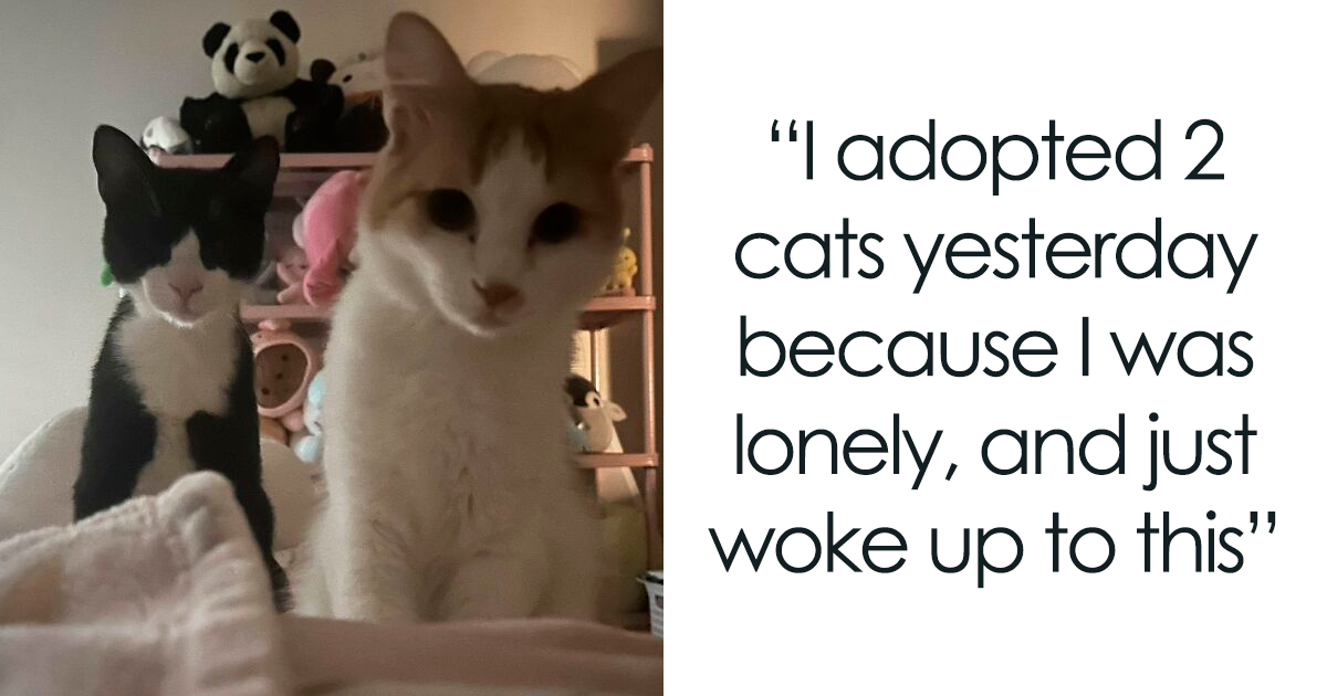 50 Soul-Warming Photos Of Newly Adopted Pets Embracing Their New Homes ...