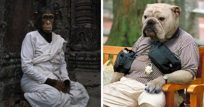 Designers Were Challenged To Dress-Up Animals In Human Clothing, Here Is How It Went (30 Pics)