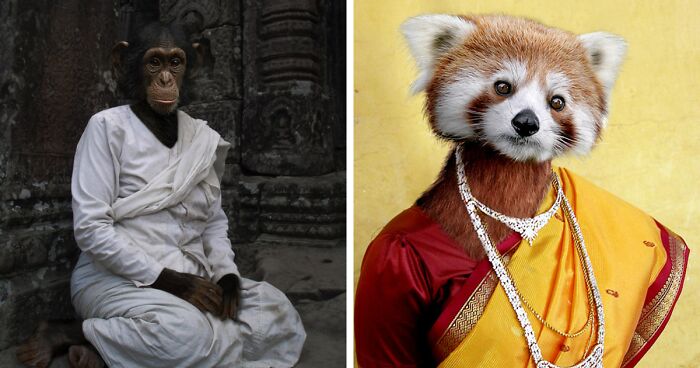 Designers Were Challenged To Dress-Up Animals In Human Clothing, Here Is How It Went (30 Pics)