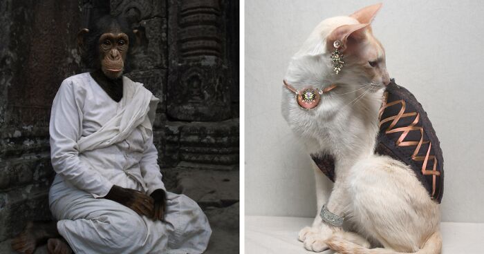 Designers Were Challenged To Dress-Up Animals In Human Clothing, Here Is How It Went (30 Pics)