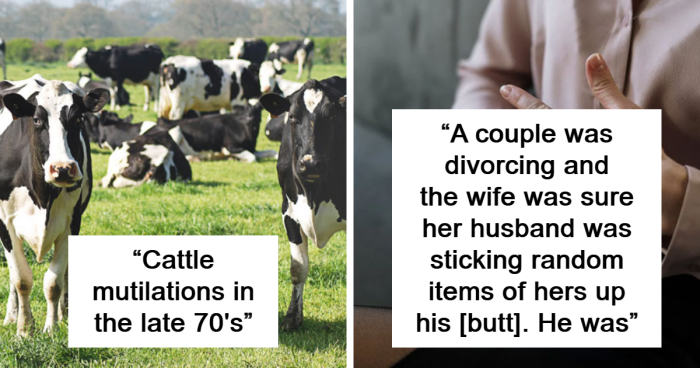 “Cattle Mutilations In The Late 70s”: 48 Wild Stories From Private Investigators And Detectives