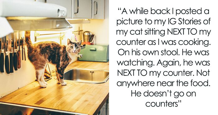 Woman Roasts Friend For Cooking Near Cat, Causes Drama When She Is Not Invited To Friend's Dinner