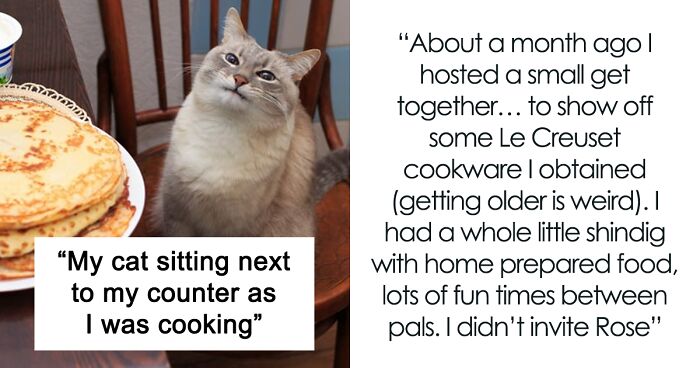 Woman Implies That Eating At Cat Owners' Place Is Gross, Gets Uninvited From Dinner