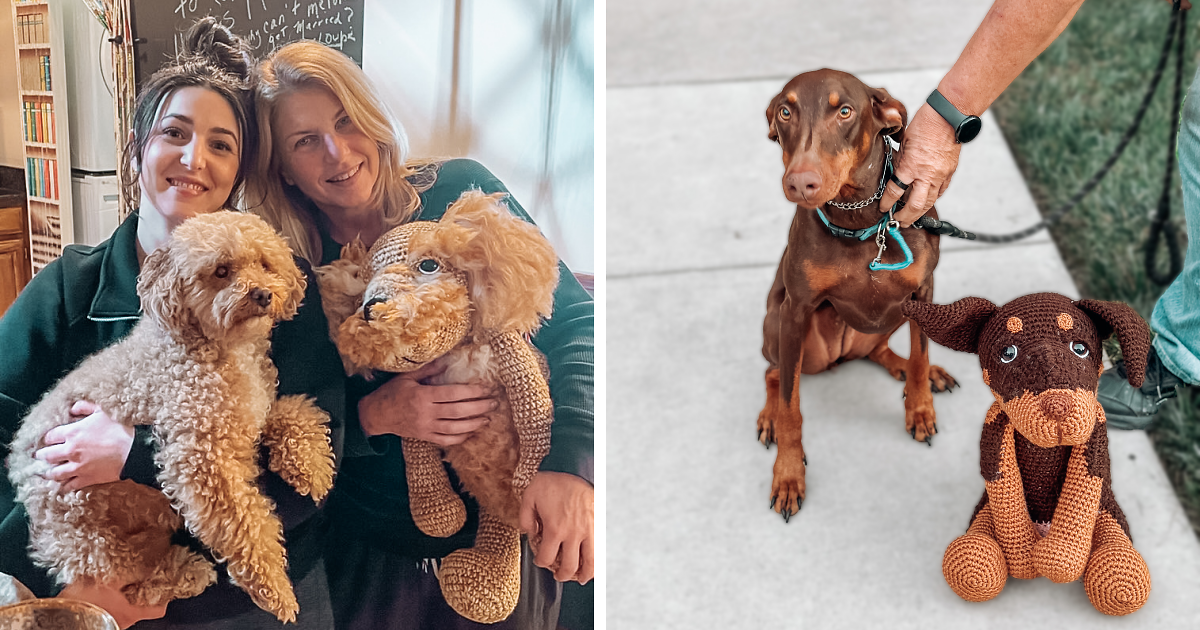 I Recreate People’s Pets By Crocheting Their Replicas (7 Pics) | Bored ...