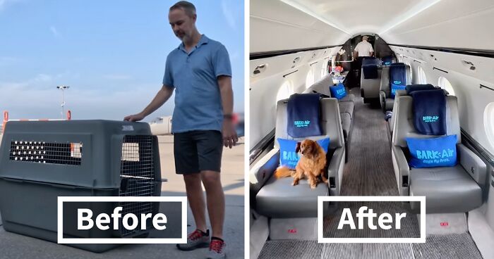 Bark Air, Where Dogs Rule The Skies In Luxury With A New Airline Designed For Them