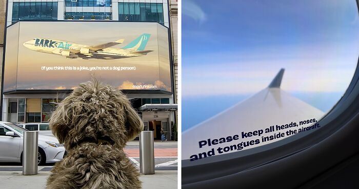 Bark Air, Where Dogs Rule The Skies In Luxury With A New Airline Designed For Them